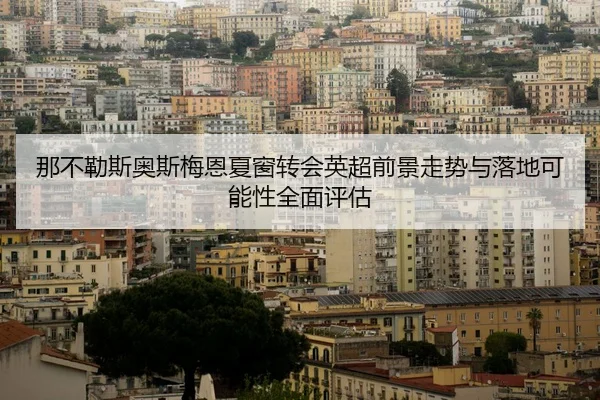 那不勒斯奥斯梅恩夏窗转会英超前景走势与落地可能性全面评估