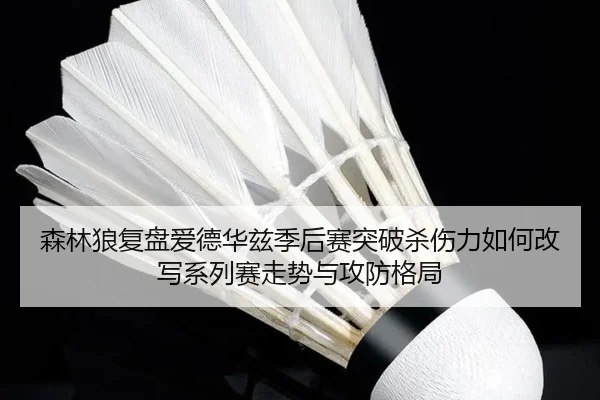 森林狼复盘爱德华兹季后赛突破杀伤力如何改写系列赛走势与攻防格局